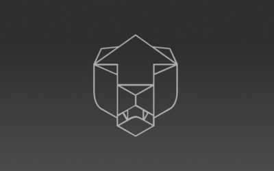 ÚJ DEVELOPMENTAL LICENSEE EGYÜTTMŰKÖDÉS MAGYARORSZÁGON